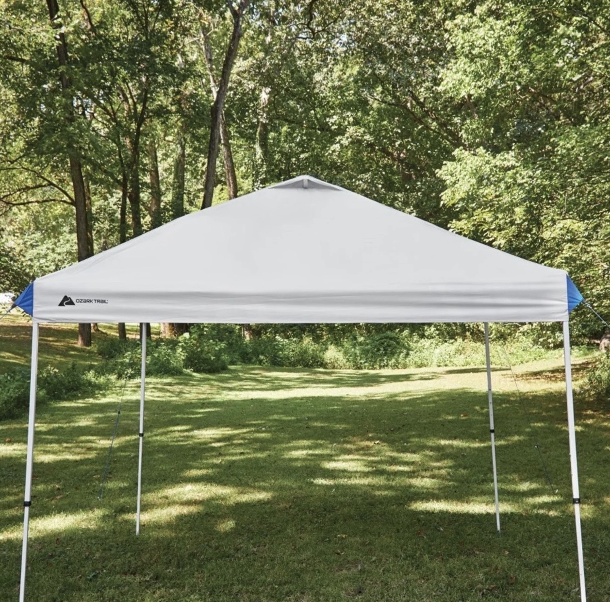 10x10 White Pop-Up Tent (for outdoor backdrops) example 1